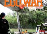 EGO WAR #6