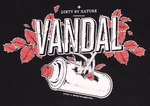 Новое поступление футболок Vandal
