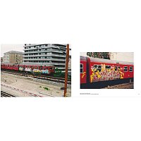 Книга Take a walk on the Graff side