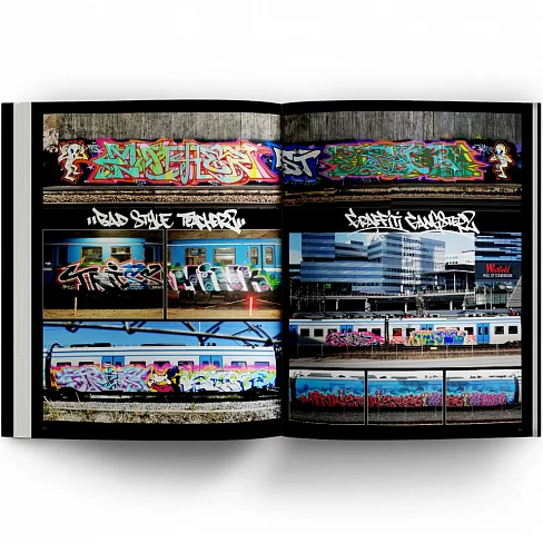 Книга Triss Bad Style Teacher