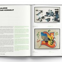 Книга Hallenkunst - Art in transit and beyond