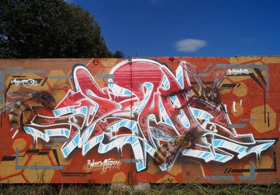 Участники  и результаты акции #Arton804