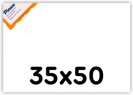 Холст Pinax на подрамнике 35х50