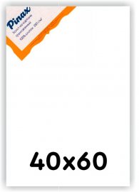 Холст Pinax на подрамнике 40х60