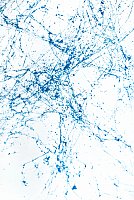 Аэрозольная краска Belazo Webs мрамор-эффект 400 мл