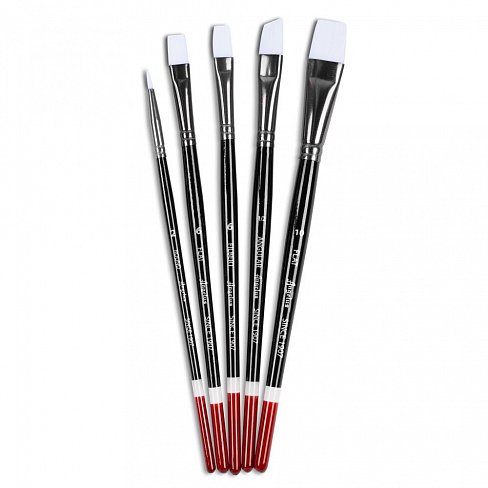 Набор кистей Angelus Brush Set Of Five