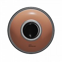 Аэрозольная краска Arton 400 мл