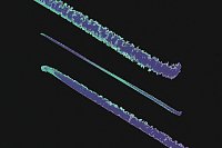 Маркер восковой HandMixed Pro Mermaid 