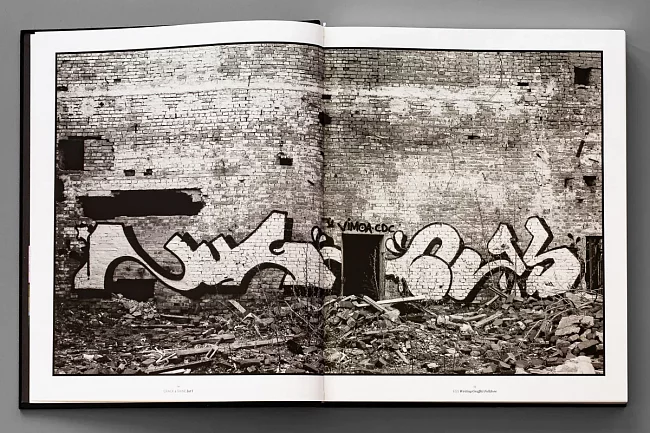 Книга Crack and Shine