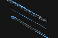 Маркер восковой HandMixed Pro Atlantis